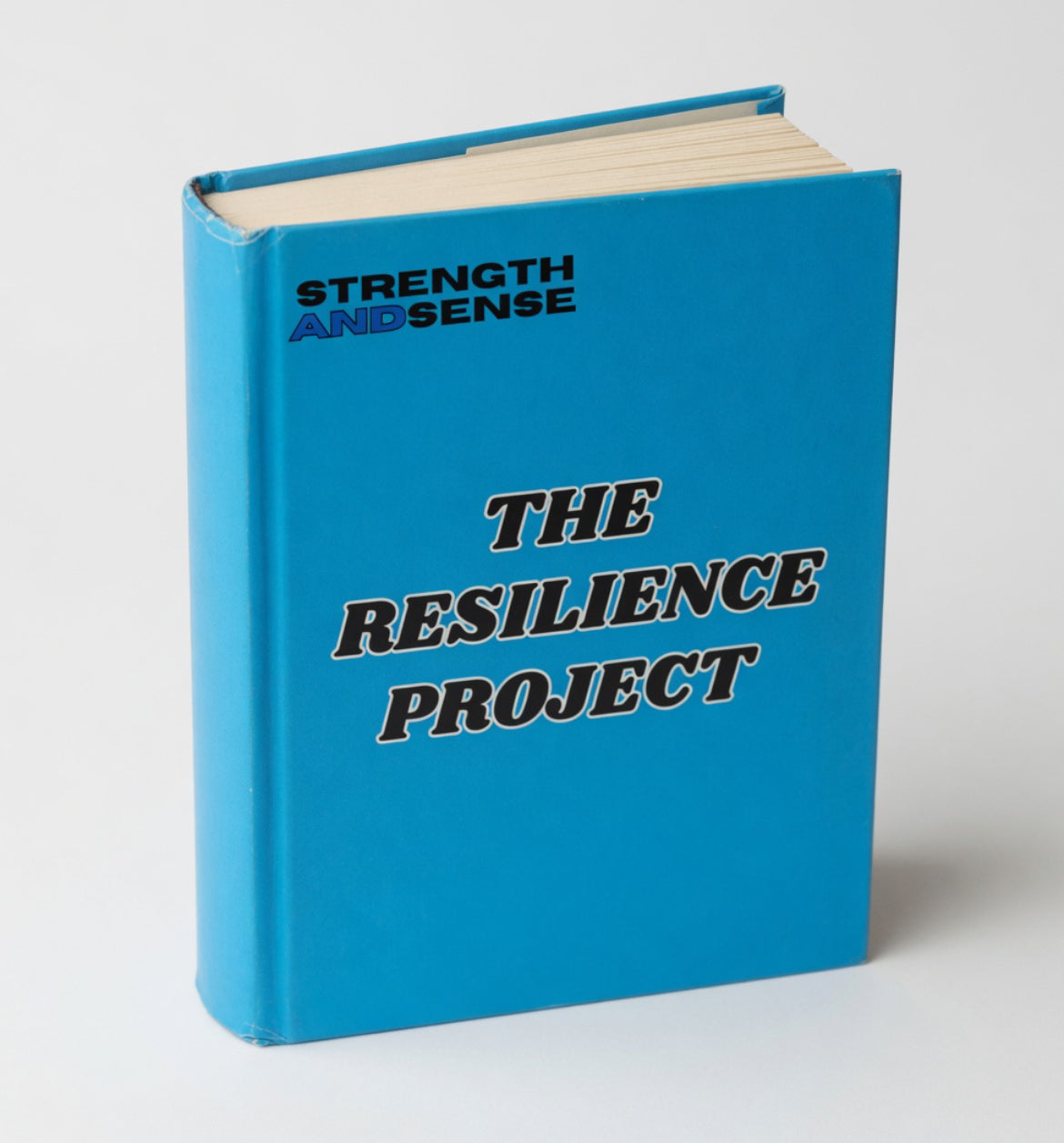 The Resilience Project